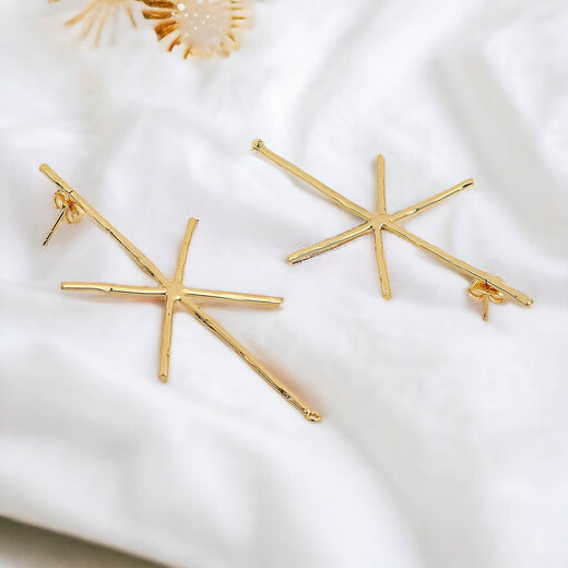 Beautiful Matte Gold Finish Earrings